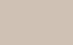 New Peinture Bombe de peinture kraft Satiné 0,4 L Peintures