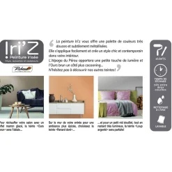 Best Peinture IRIZ Peinture loup argenté Brillant 2 L - 4MURS Peintures