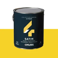 Clearance Peinture Multi-supports Peinture citron Satiné - 4MURS Peintures