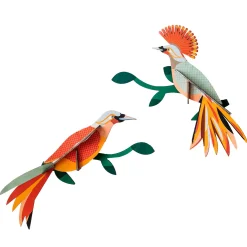 Outlet Studio ROOF Kit OISEAUX DU PARADIS - 4MURS Jeux Et Diy