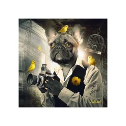 Hot Tableau BINET CHIEN PHOTO coloris noir - 4MURS Tableaux Et Affiches