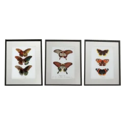 Discount Tableau LEPIDOPTERA coloris multicolore - 4MURS Tableaux Et Affiches