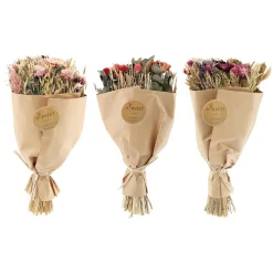 Sale Fleurs séchées TEODA - 4MURS Déco Végétale