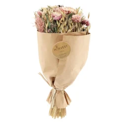 Sale Fleurs séchées TEODA - 4MURS Déco Végétale