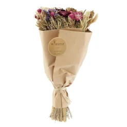 Sale Fleurs séchées TEODA - 4MURS Déco Végétale