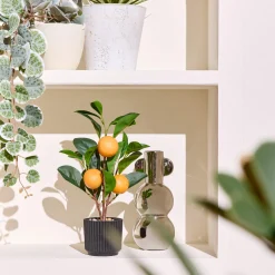 Online Vase MANZI coloris argent - 4MURS Objets Déco